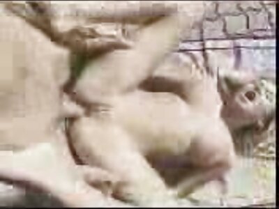 லிசா ஆன் ஜென்னா பிரெஸ்லியை மிகவும் விரும்புகிறார்